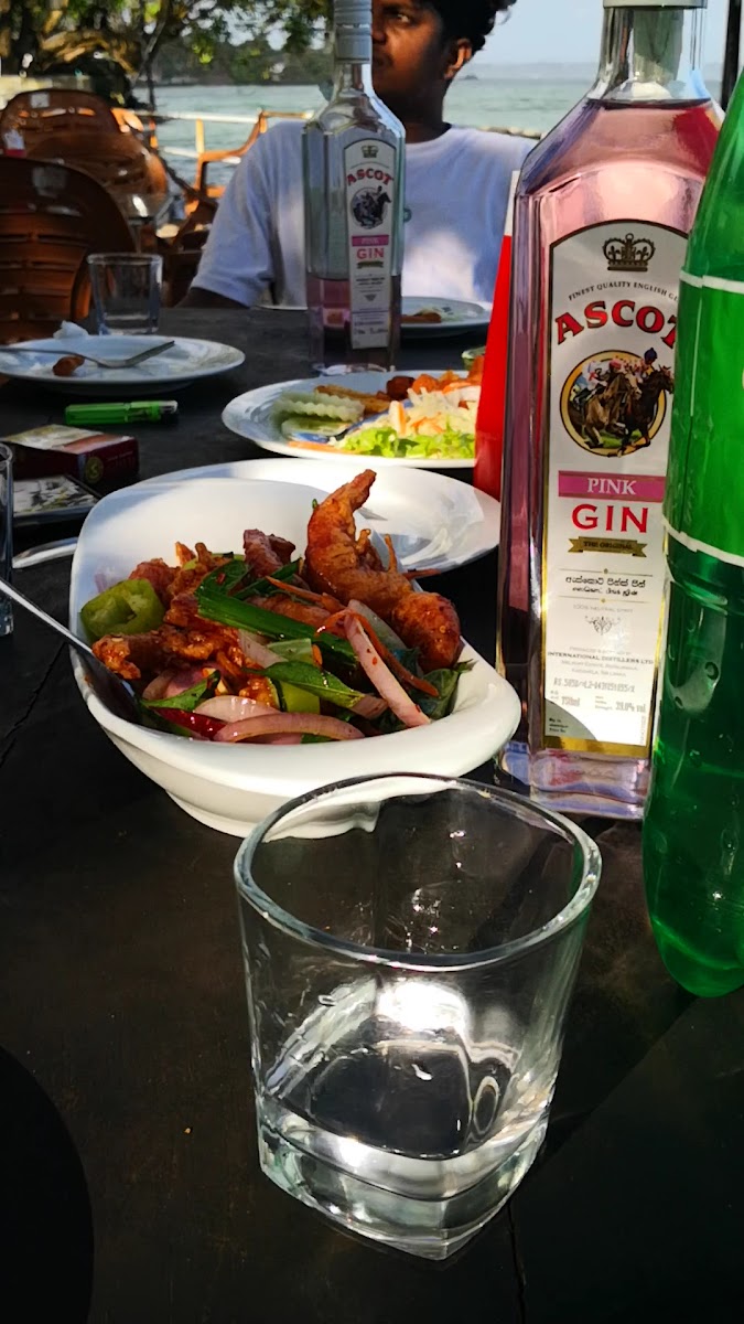 Lions Gate Polhena-2